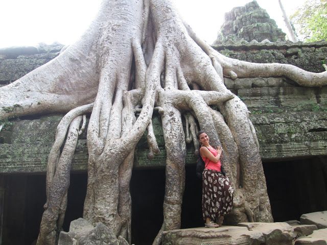 Raíces en Ta Prohm en Angkor, Camboya