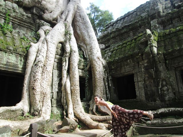 Raíces de Ta Prohm en Angkor, Camboya