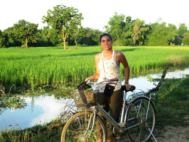 Mi bici y yo por los campos de arroz