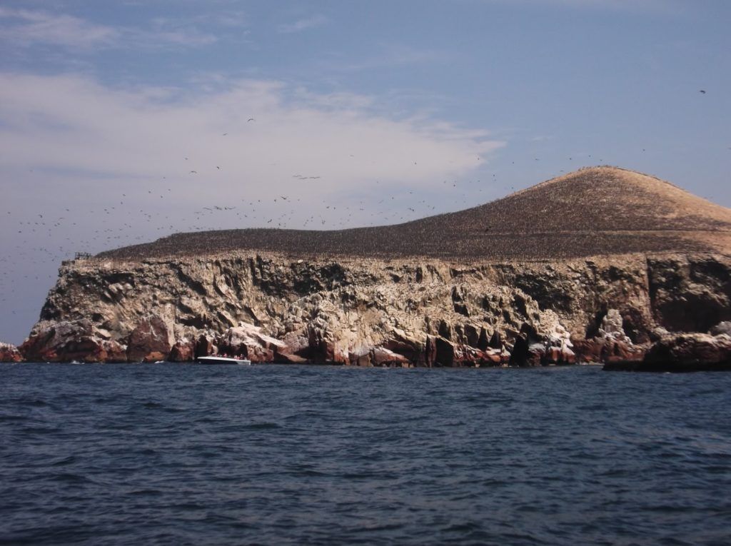 Islote con aves guaneras