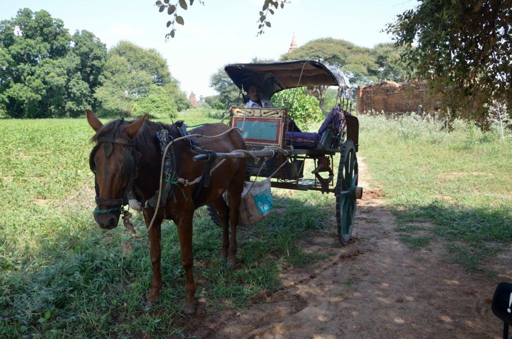 Coche de caballos de Bagán, Myanmar