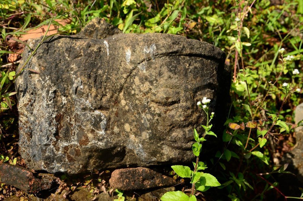 Cabeza de Buda en Mrauk U