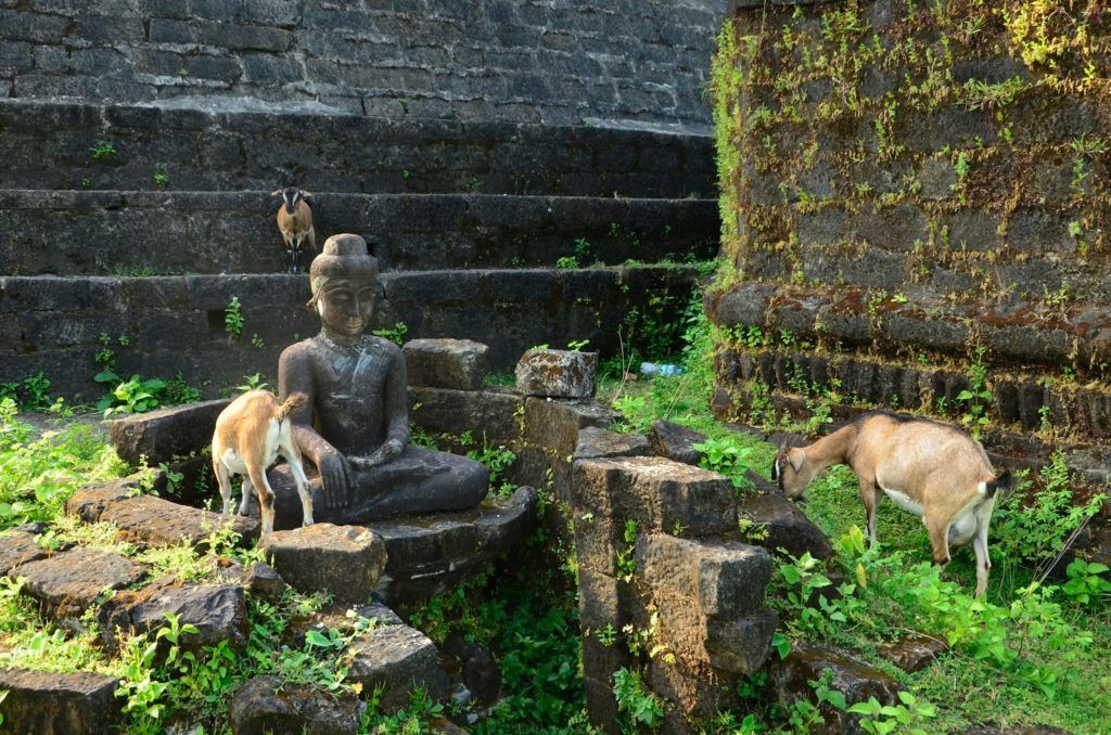 Cabras y Budas, juntos pero no revueltos en Mrauk U