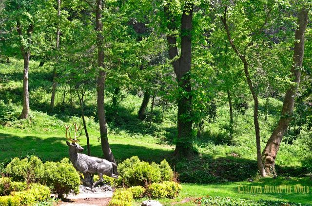 Más parque Yıldız 