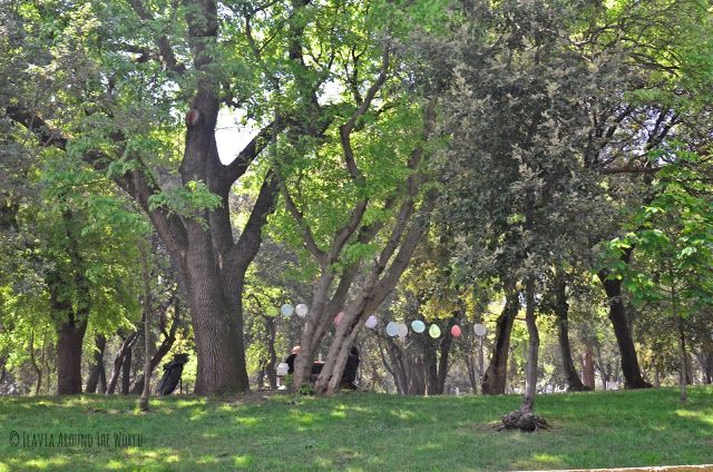 Celebración en el parque Yıldız 