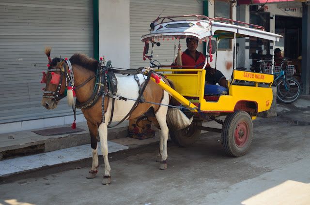 Coches de Gili T