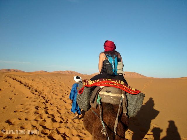Paseo en camello por el Sahara