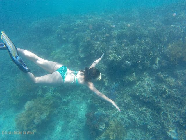 Haciendo snorkel por algún jardín de coral de las 17 islas