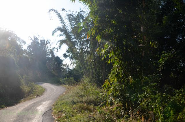 Carretera de Flores