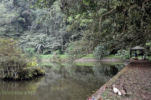 templo pura luhur batukaru