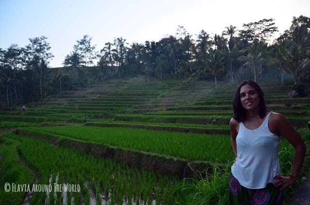 Jatiluwih terrazas arroz bali