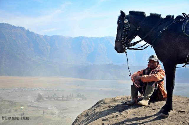 caballo monte bromo