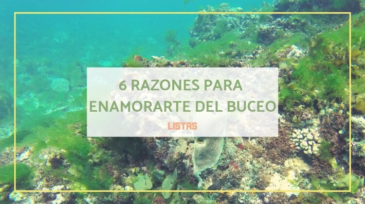 buceo