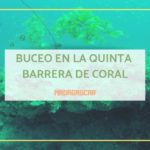 buceo en madagascar barrera de coral